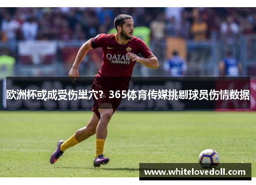 欧洲杯或成受伤巢穴？365体育传媒挑剔球员伤情数据